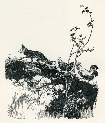 Henny-Penny by Arthur Rackham