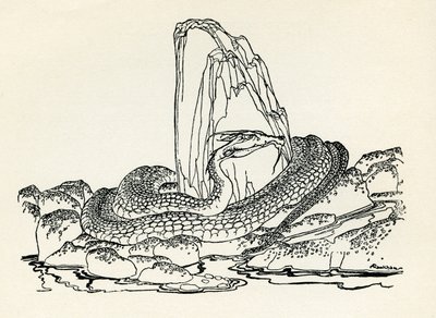 The Laidly Worm by Arthur Rackham