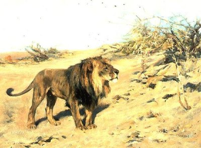 A Lion Amongst Scrub by Arthur Wardle