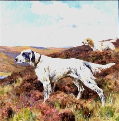 English Setters by Arthur Wardle