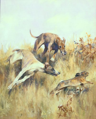 Greyhounds Giving Chase by Arthur Wardle