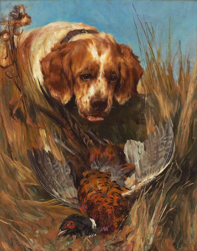 Retrieved by Arthur Wardle