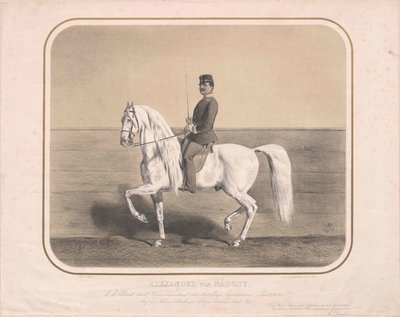 Alexander von Nadosy-Nadas by Artist Unknown