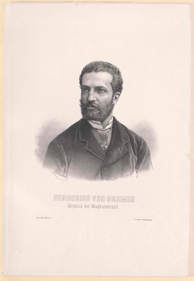 Desiderius von Gromon by Artist Unknown
