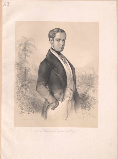 Emperor Peter II of Brazil by Artist Unknown