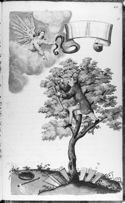 Folio 28 Codex 11134 by Artist Unknown