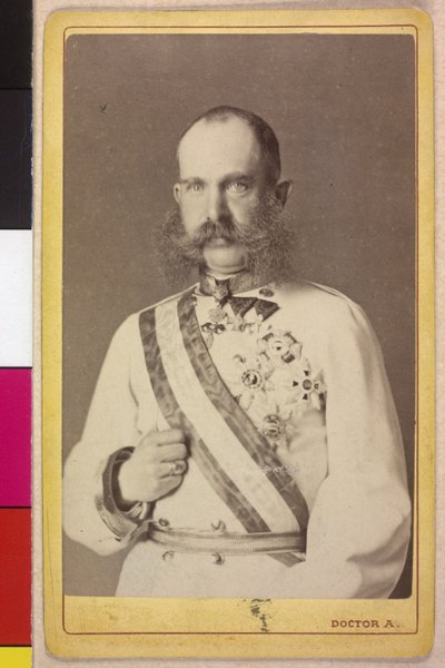 Franz Joseph I by Artist Unknown