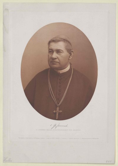 Johannes Haller (print) by Artist Unknown