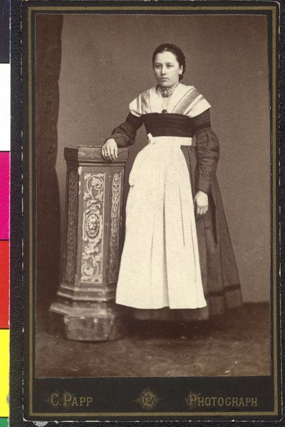 Woman in Livery - Salzburg by Artist Unknown