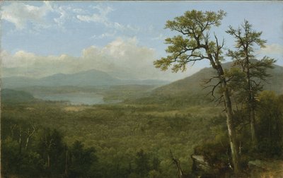 Adirondack Mountains, N.Y. by Asher Brown Durand