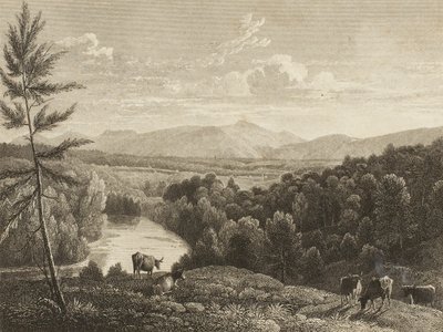Catskill Mountains by Asher Brown Durand