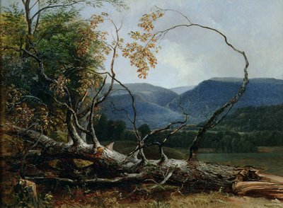 Stratton Notch, Vermont by Asher Brown Durand