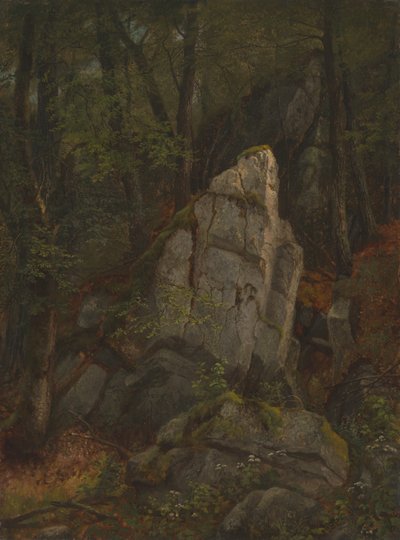 Study of Rocks in Pearson