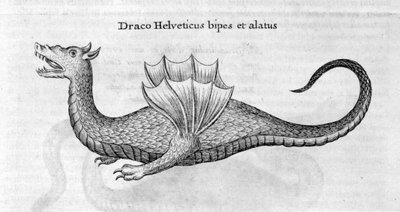 Dragon by Athanasius Kircher