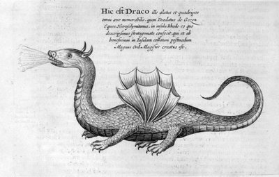 Dragon, 1678 by Athanasius Kircher