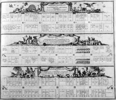 Table of the Species, 1765 by Athanasius Kircher