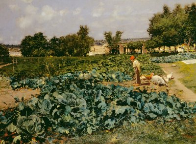 The Cabbage Patch by Attillo Pratella