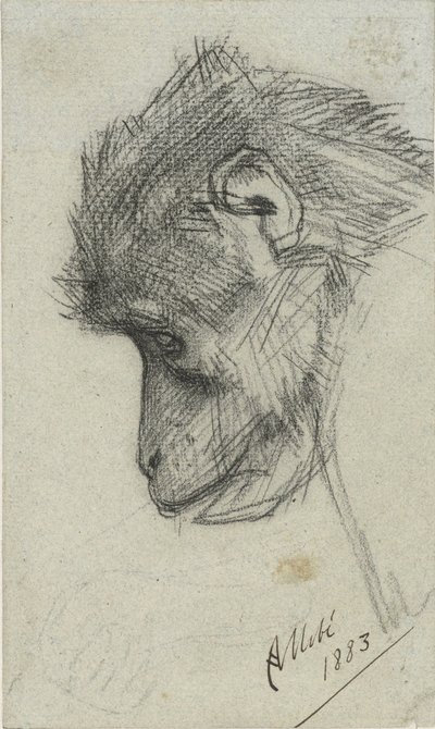 Head of a Monkey by August Allebe