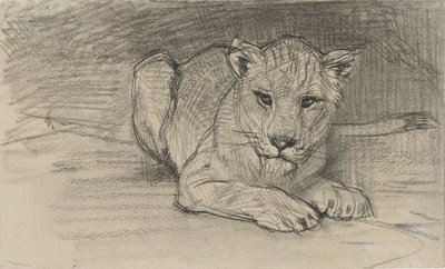 Lying Lioness by August Allebe