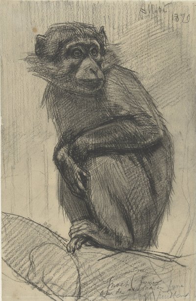 Monkey on a Branch by August Allebe