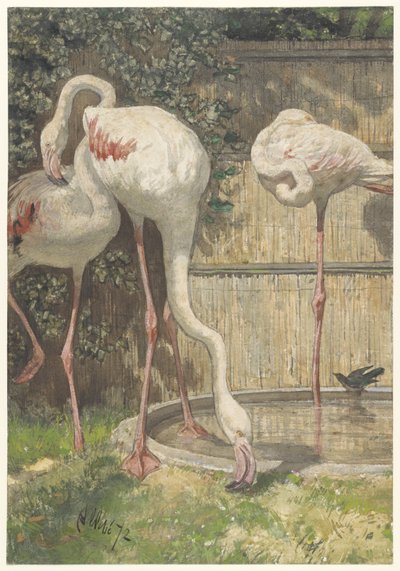 Three Flamingos near a Basin by August Allebe