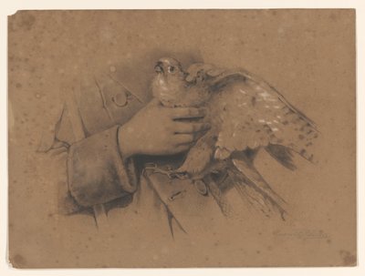 Kestrel Caught in Hands by August Allebe