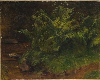 Study of Fern by August Cappelen