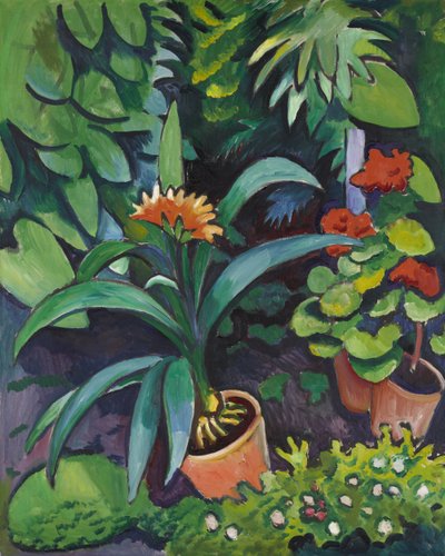 Flowers in the Garden, Clivia and Pelargoniums by August Macke