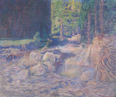 Resting Wild Stream by August Roth