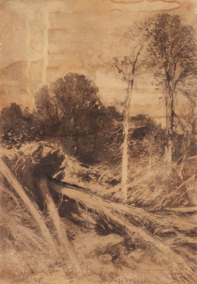 Tree Study by August Schaeffer von Wienwald