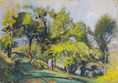 Chestnut Trees above a River by Auguste Lepere