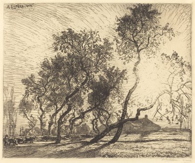 The Farm with Poplars of Holland by Auguste Lepere