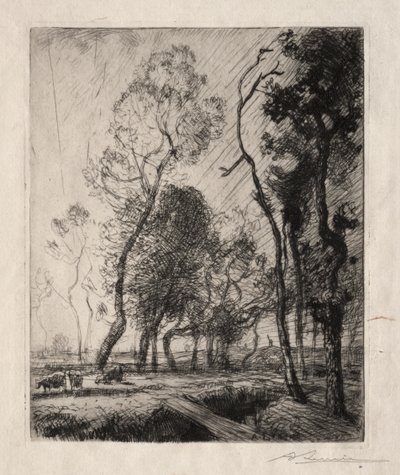 Sunset Behind the Trees by Auguste Louis Lepère