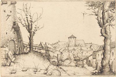 Courtyard of a Castle by Augustin Hirschvogel