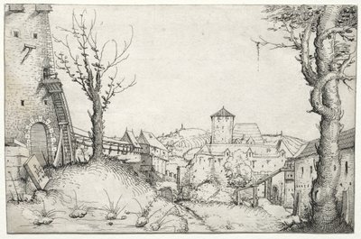 Courtyard of a Castle by Augustin Hirschvogel