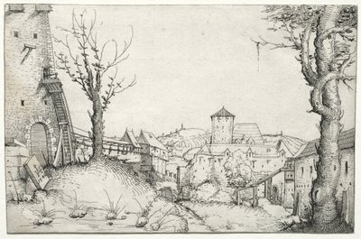 Courtyard of a Castle, 1546 by Augustin Hirschvogel