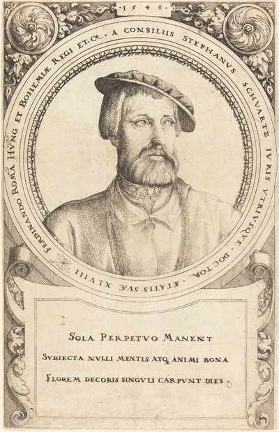 Doctor Stephen Schwartz by Augustin Hirschvogel