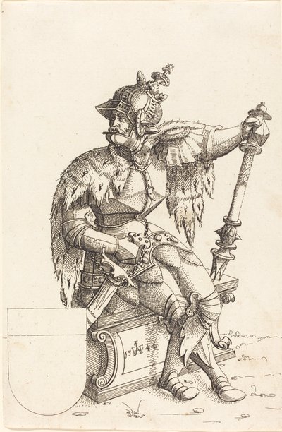 Emperor Charles V, 1546 by Augustin Hirschvogel