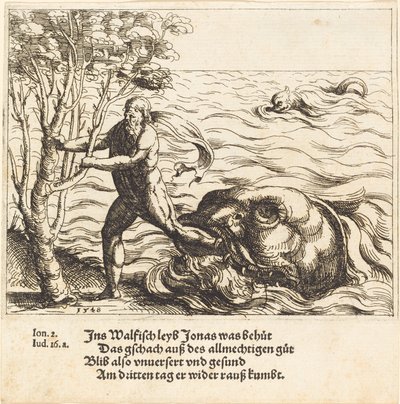 Jonah is Delivered from the Whale by Augustin Hirschvogel