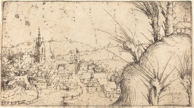 Landscape with a Town at Left, 1549 by Augustin Hirschvogel