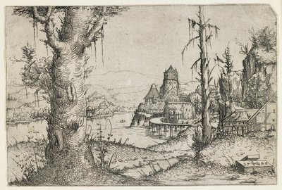 Large Tree and Castle on a Lake by Augustin Hirschvogel