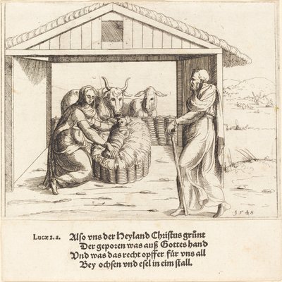 The Nativity by Augustin Hirschvogel