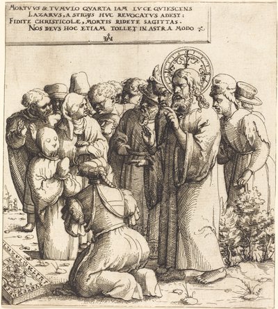 The Raising of Lazarus by Augustin Hirschvogel
