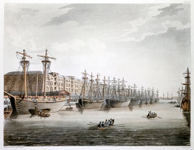 West India Docks, London by Augustus Charles Pugin, Thomas Rowlandson