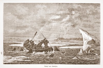 Fight with Walrus, 1876 by Austrian School