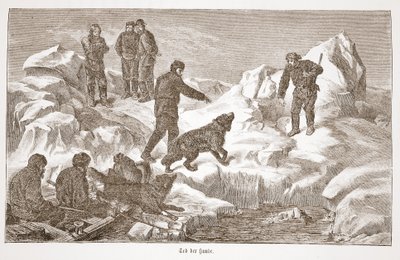 Hunting with dogs, 1876 by Austrian School