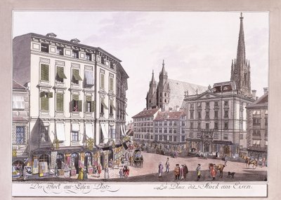 Stock-im-Eisen-Platz by Austrian School