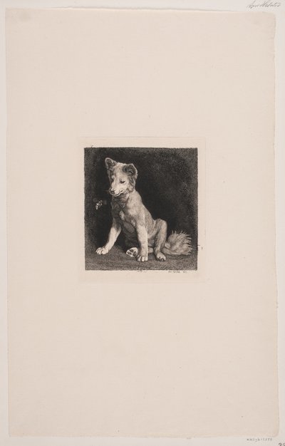 The Dog and the Bee by Axel Helsted