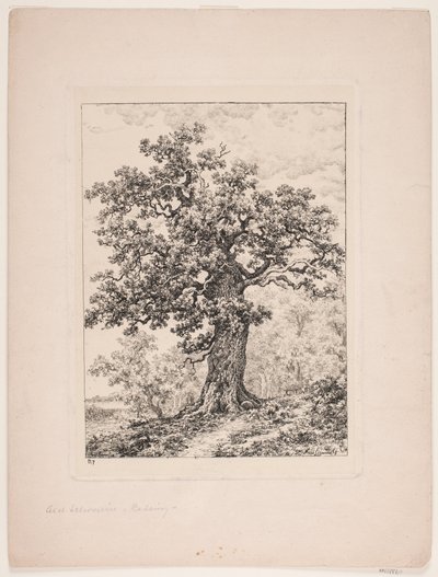 Niels Ebbesen
