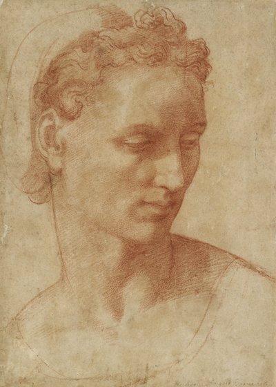 Head of a Woman by Baccio Bandinelli